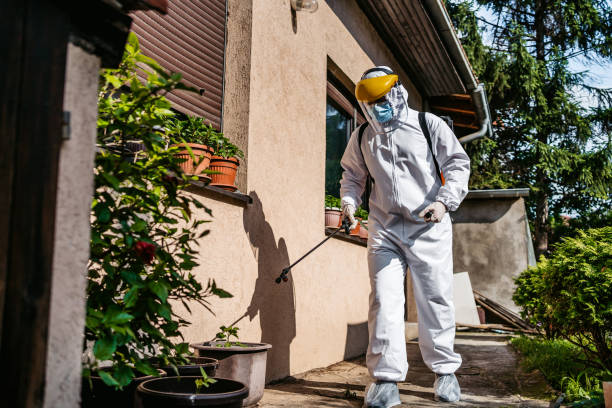 Best Termite Control Services  in Emerson, GA