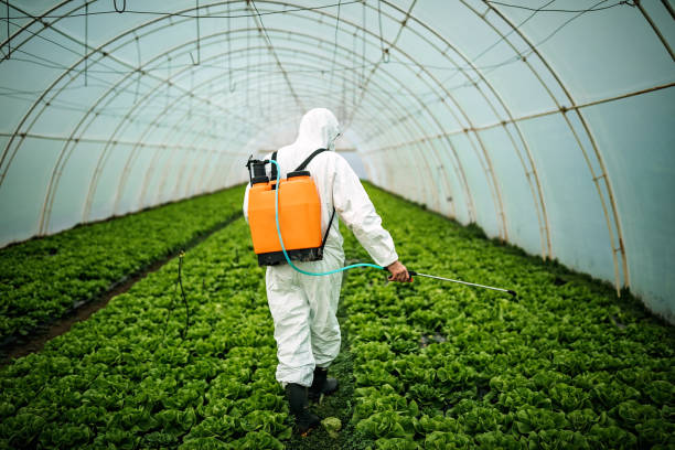 Pest Control for Restaurants in Emerson, GA
