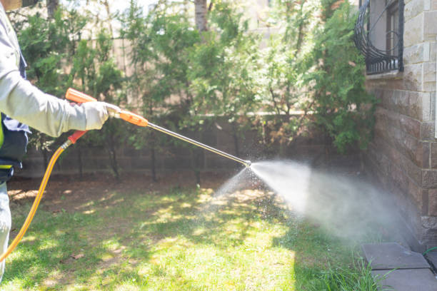 Bird Control in Emerson, GA