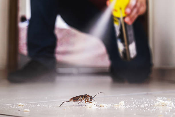 Best Termite Control Services  in Emerson, GA