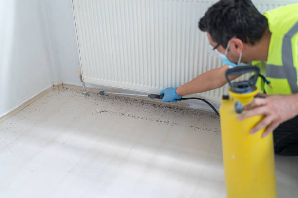 Best Affordable Exterminators  in Emerson, GA