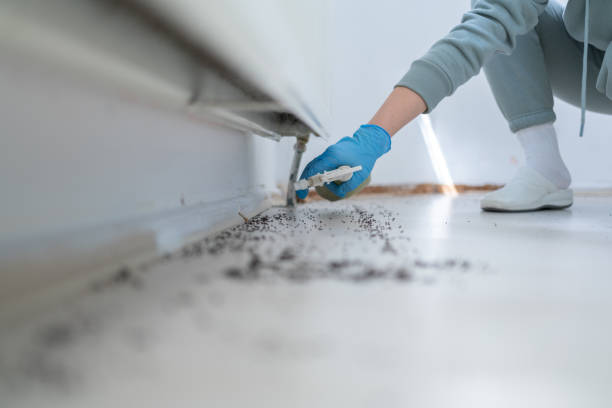 Best Pest Control for Restaurants  in Emerson, GA